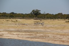 IMG_9546