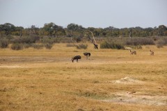 IMG_9548