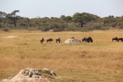 IMG_9549