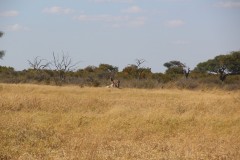 IMG_9555