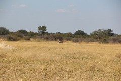 IMG_9557