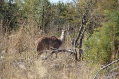 IMG_9559