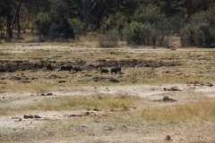 IMG_9562