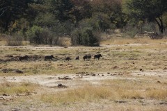 IMG_9563