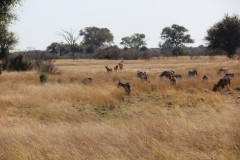 IMG_9564