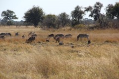 IMG_9565