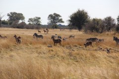IMG_9567