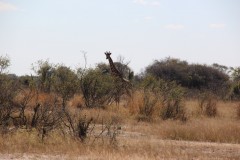 IMG_9569