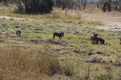 IMG_9571