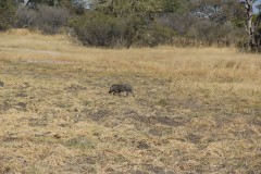IMG_9572