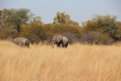 IMG_9577