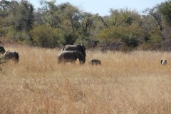 IMG_9581