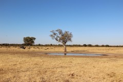 IMG_9599-Hwange-NP-Ngweshla-Pan