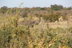 IMG_9605