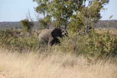 IMG_9607