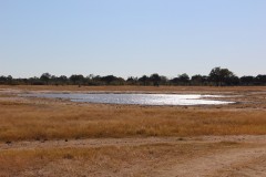 IMG_9610-Hwange-NP-Kennedy-I-Pan