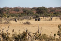 IMG_9622