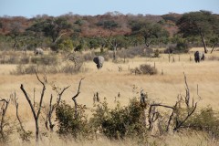 IMG_9623