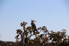 IMG_9625