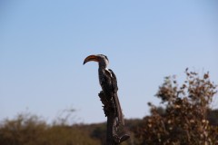 IMG_9626