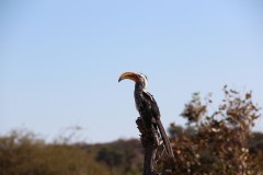 IMG_9627