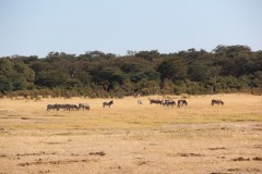 IMG_9636