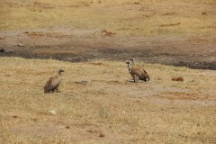 IMG_9645