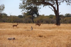IMG_9653