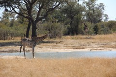 IMG_9659