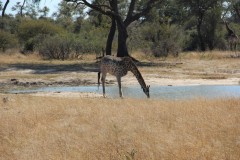 IMG_9660