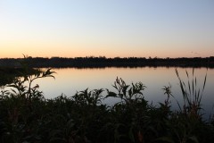 IMG_9666