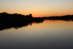 IMG_9668