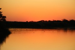 IMG_9670