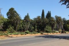 IMG_9683-Bulawayo-Main-Street