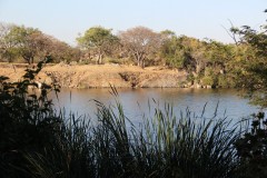 IMG_9725