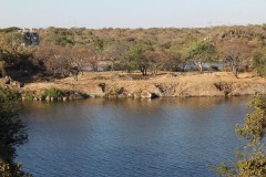 IMG_9726