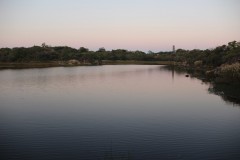 IMG_9740