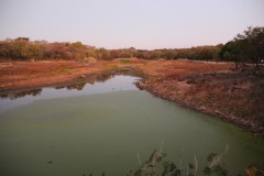 IMG_9746