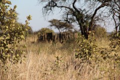 IMG_9758