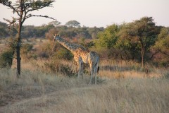 IMG_9789