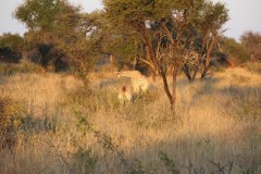 IMG_9790