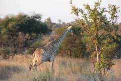 IMG_9791