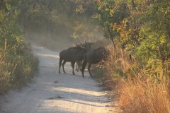 IMG_9802