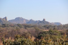 IMG_9815