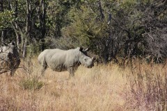 IMG_9821