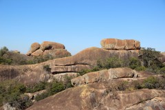 IMG_9835