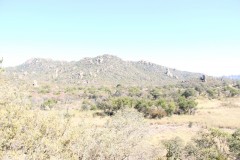 IMG_9847