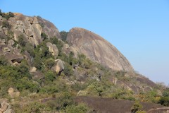 IMG_9876