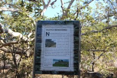 IMG_9914-Naletale-Ruins