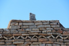 IMG_9921